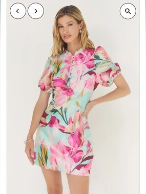 hutch florrie pink floral print puff sleeve button detail mini dress small NEW